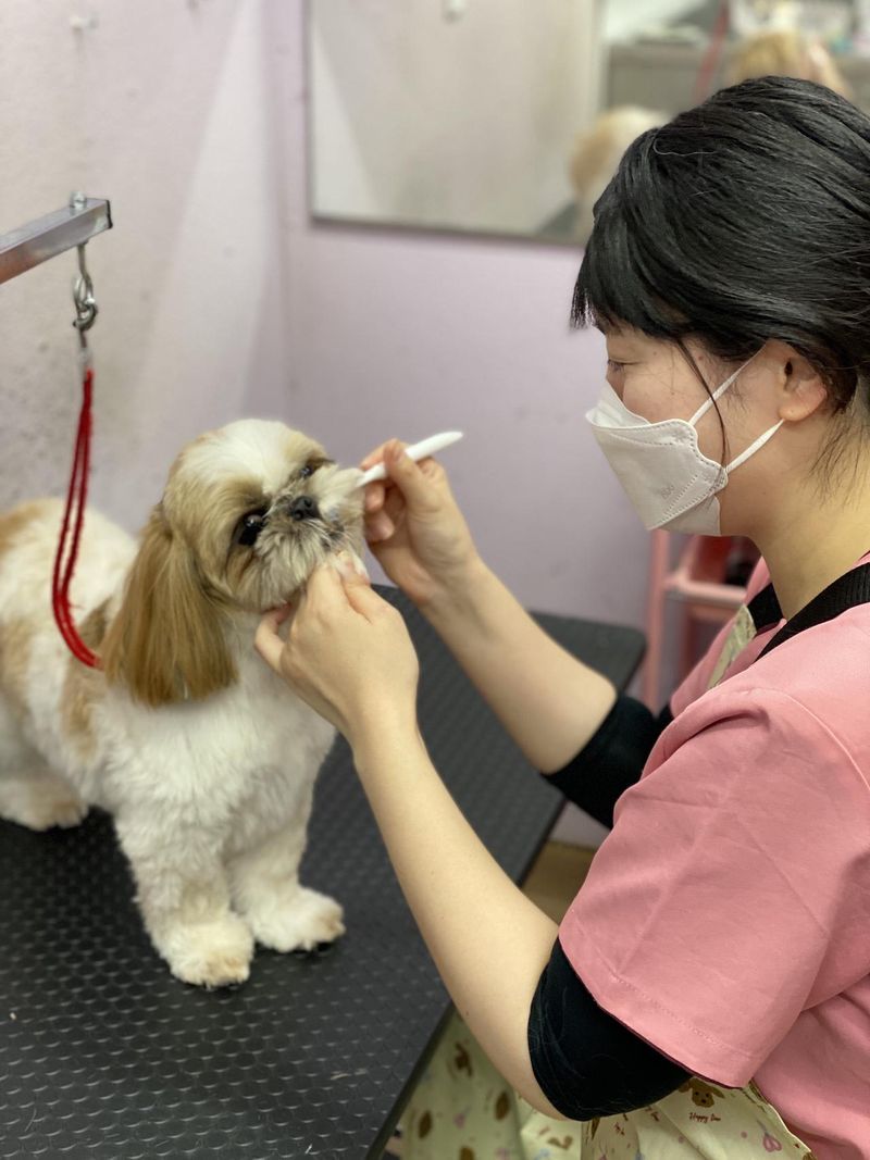 有限会社小嶋動物病院　小島動物病院アニマルウェルネスセンターのアルバイト・バイト求人情報-03