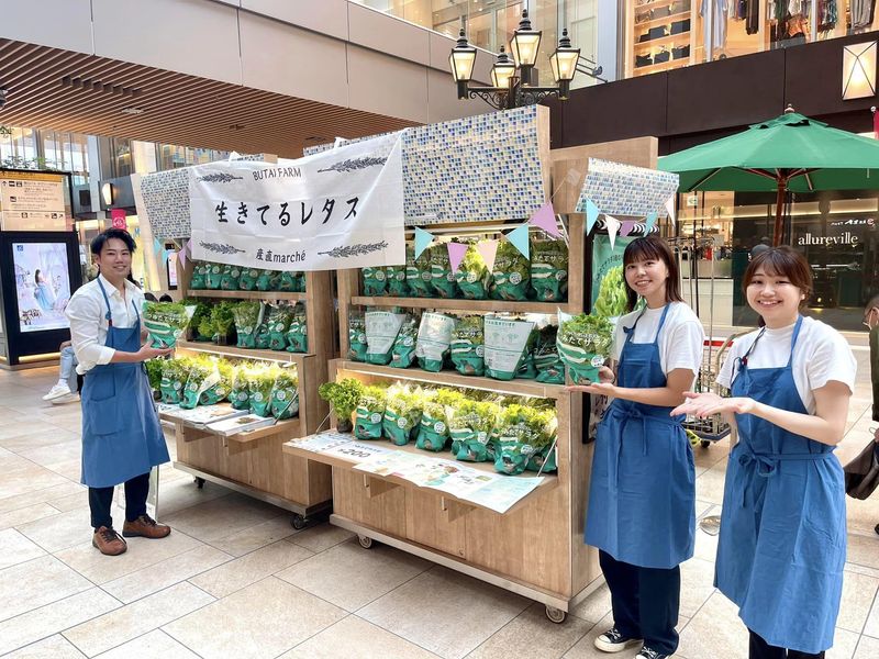 舞台ファーム　東京事務所の求人5