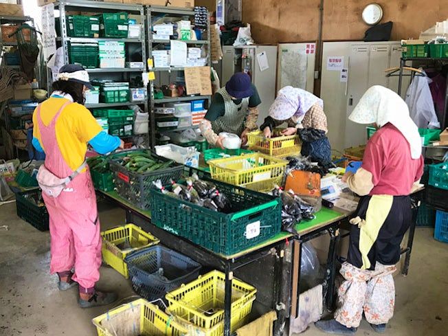 北海道･藤井ファーム･ラボ 株式会社のアルバイト・バイト求人情報-02
