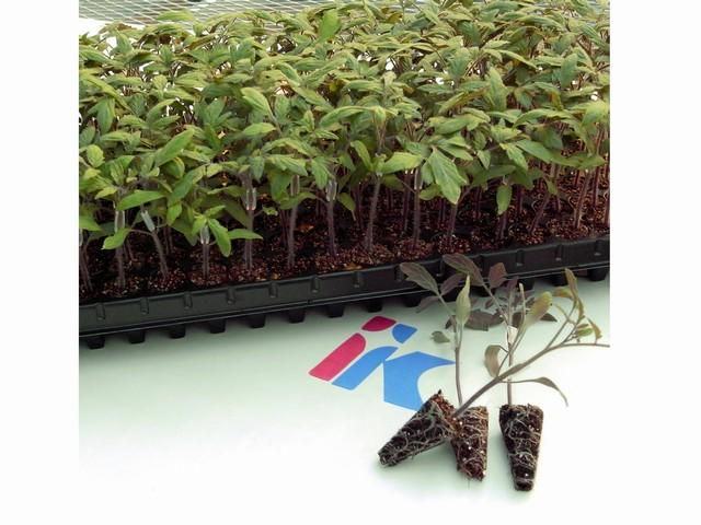 揖斐川工業株式会社 神戸ナーサリーのアルバイト・バイト求人情報-04