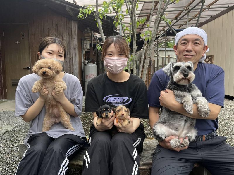 株式会社Pettoの求人・転職情報