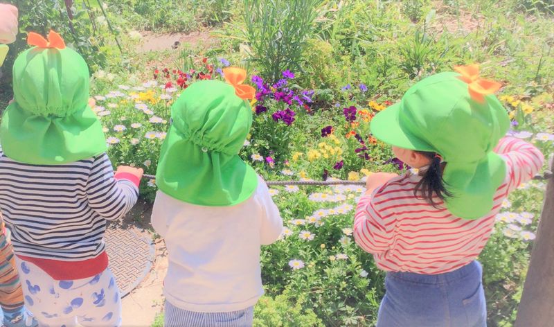 ライクキッズ株式会社のアルバイト・バイト求人情報-02