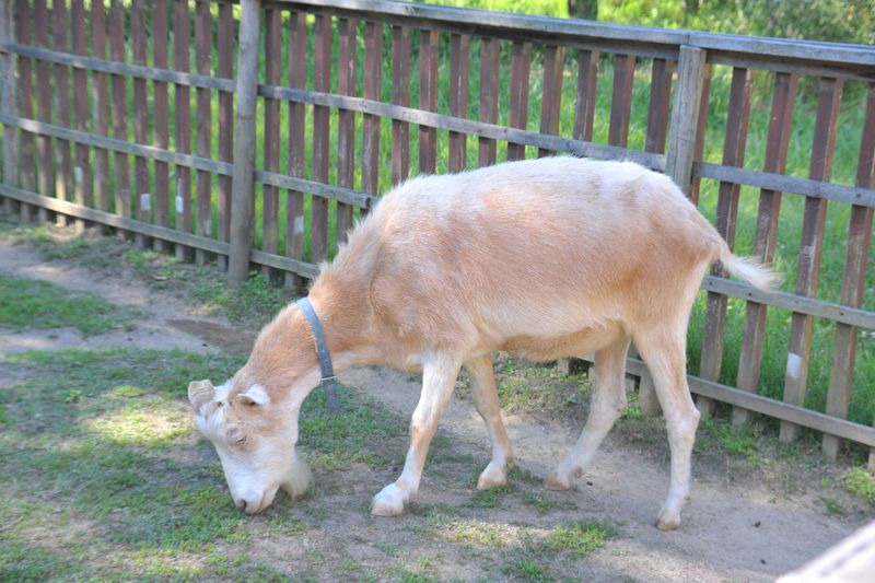 一般財団法人公園財団　まんのう公園管理センターのアルバイト・バイト求人情報-03