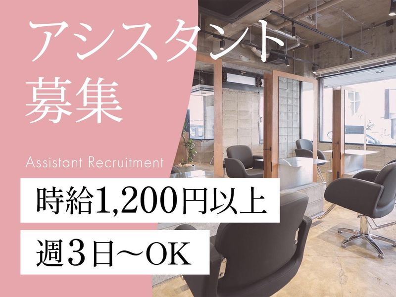 updateの派遣求人情報