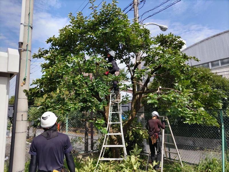 株式会社菊丸造園のアルバイト・バイト求人情報-02