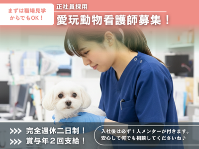 株式会社ＨＡＭＥＣの求人・転職情報