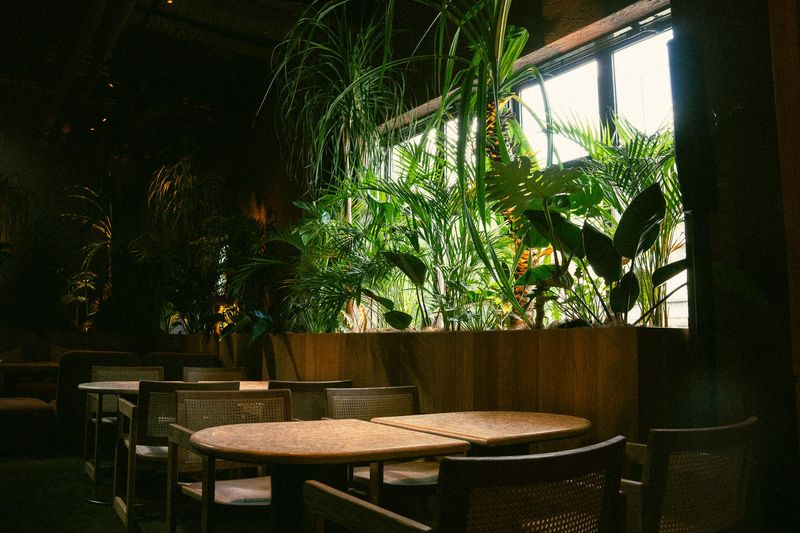 NÜCHI by WPÜのアルバイト・バイト求人情報-03