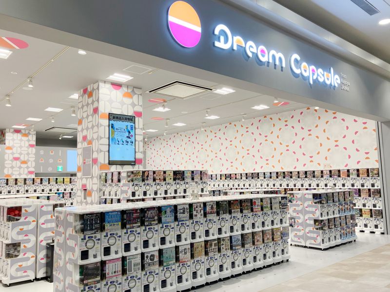 ドリームカプセル株式会社の求人・転職情報