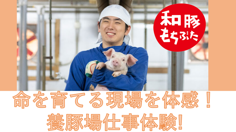 グローバルピッグファーム株式会社