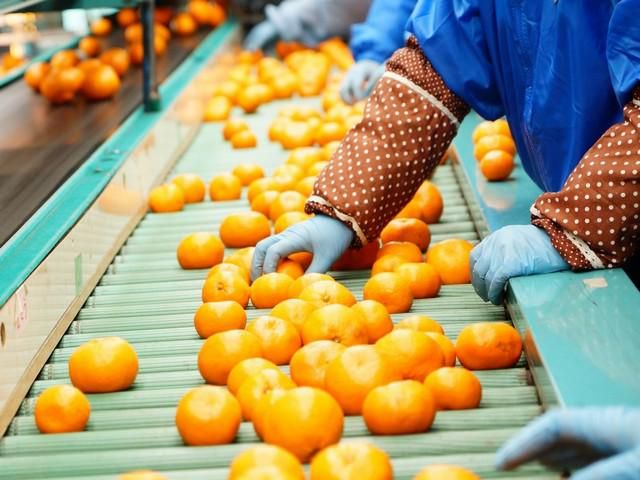 株式会社マルマのアルバイト・バイト求人情報-03