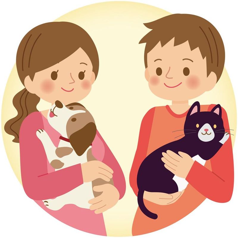 株式会社NEOソリューションの求人・転職情報