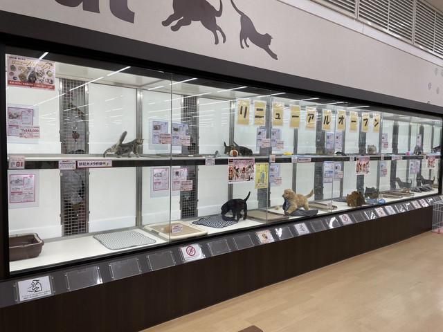 株式会社ミネルバの求人・転職情報