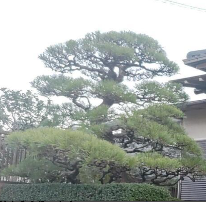 吉田造園のアルバイト・バイト求人情報-03