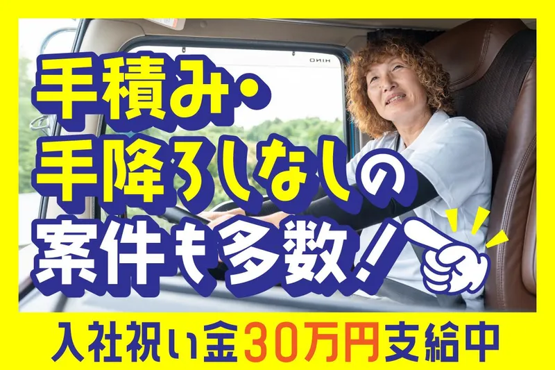 株式会社ロジックナンカイの求人・転職情報