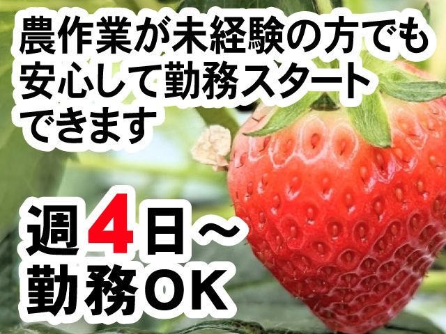 やたがい農園の派遣求人情報