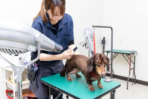 ペッツゴー 浜北店のアルバイト・バイト求人情報-06