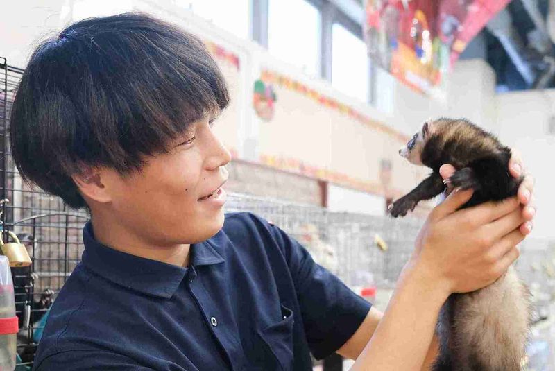 ひごペットフレンドリー　アクロスプラザ住之江店のアルバイト・バイト求人情報-04