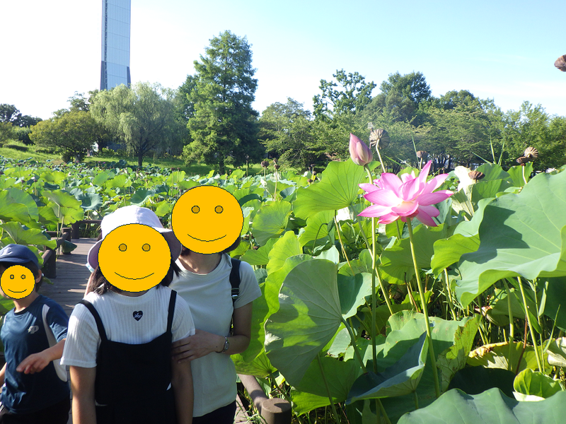 社会福祉法人泰山木