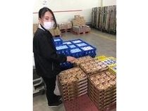 株式会社MLS