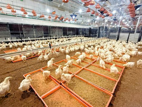 プライフーズ株式会社の求人・転職情報