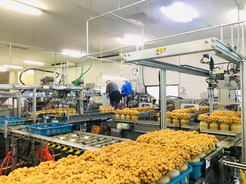 有限会社きのこの里吉井のアルバイト・バイト求人情報-02