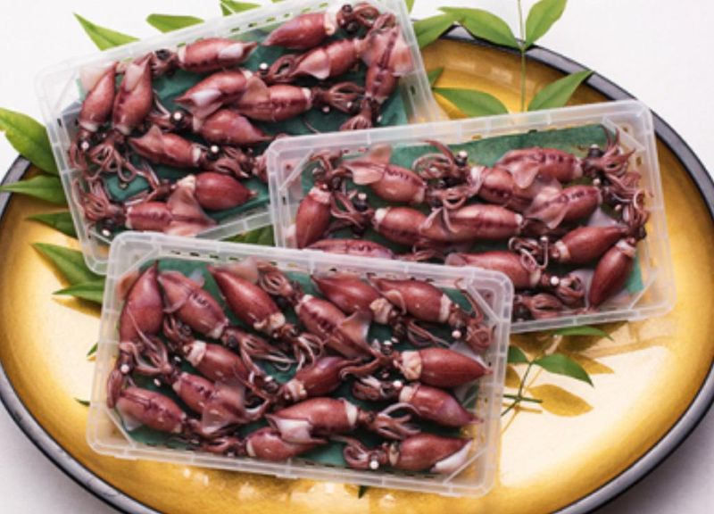 有限会社孫七・川田水産-0001の求人・転職情報