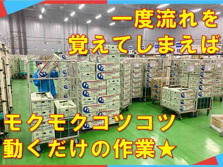 西海食品株式会社　安行領家センターの求人情報