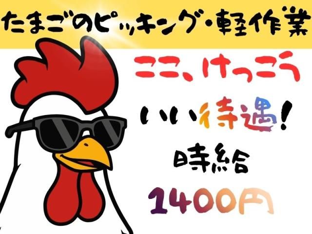 有限会社ディータのアルバイト・バイト求人情報-19