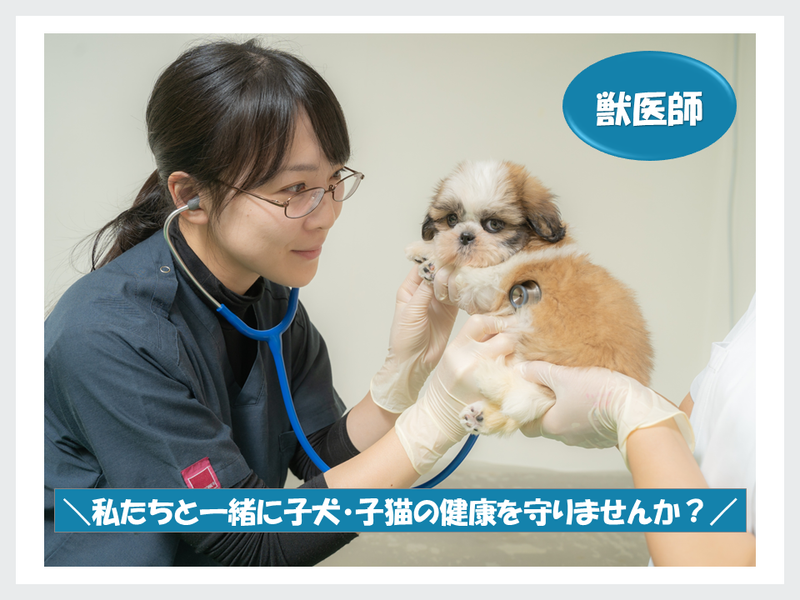 株式会社AHB