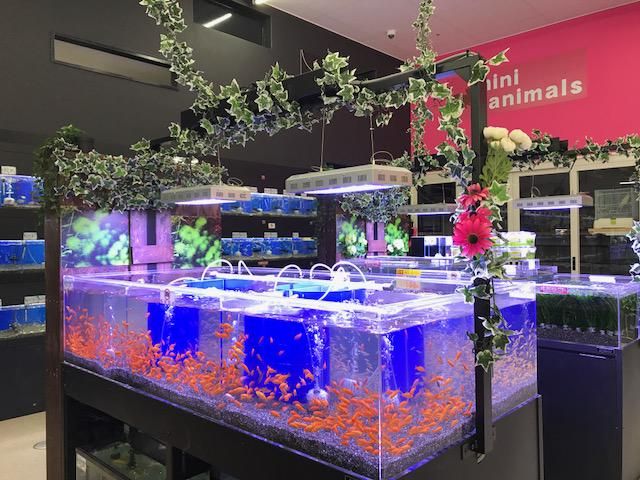 ペットプラザ 三鷹店のアルバイト・バイト求人情報-02