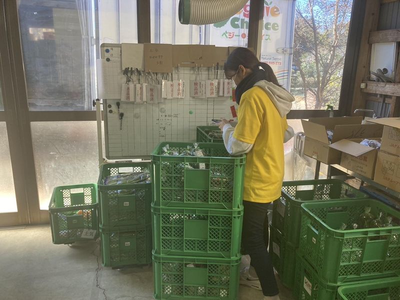 株式会社Natural Senseの求人情報