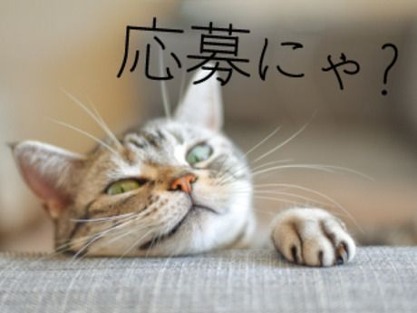 株式会社パワーキャスト