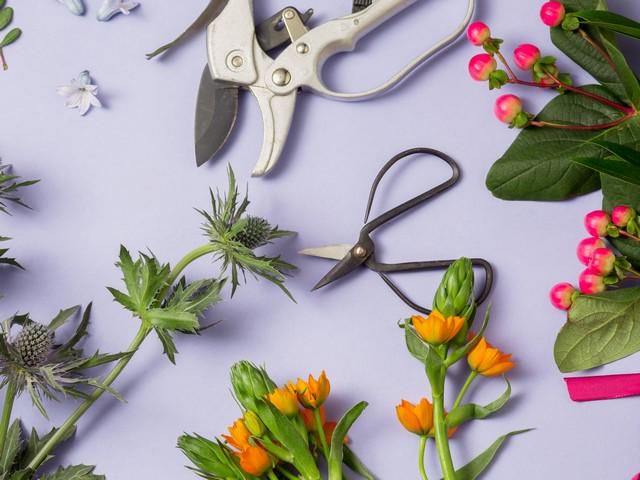 有限会社ライズかわはらの派遣求人情報