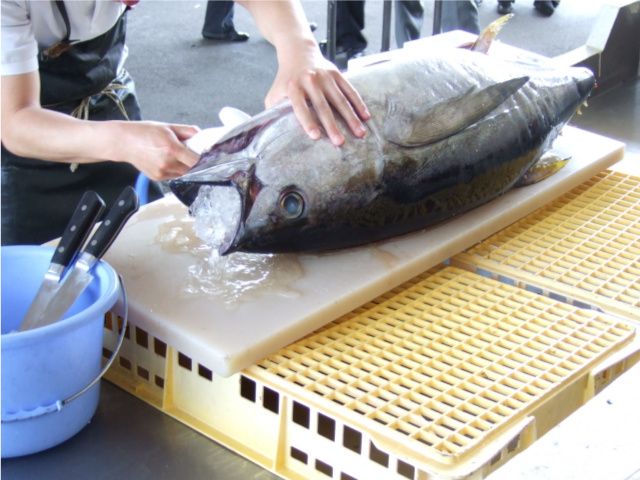 株式会社 東心水産の求人・転職情報