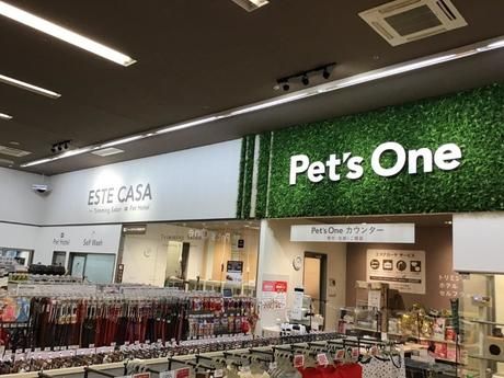 株式会社ミッキーアンドゴンの求人・転職情報