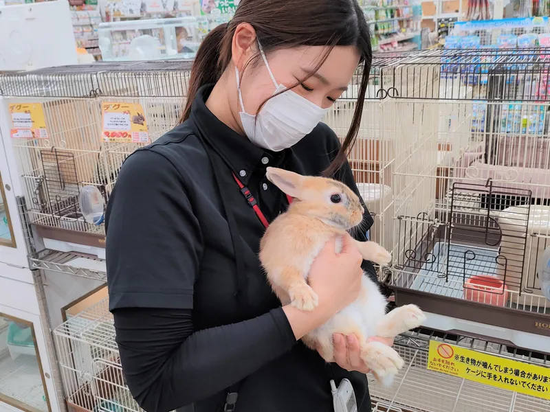 ジョイフル本田　宇都宮店のアルバイト・バイト求人情報