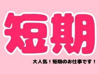 株式会社GOOD SMILE 株式会社GOODSMILE(八街市)のアルバイト・バイト求人情報-02