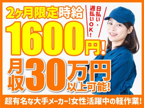 株式会社ニチギワールド