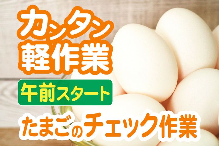 株式会社マストコーポレーション