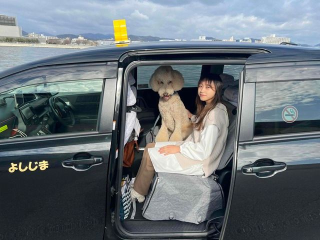 有限会社吉島タクシーの求人・転職情報