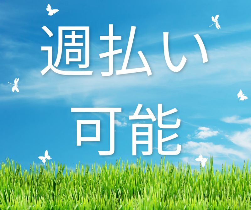 株式会社スカイキャリア(派遣先:福岡県糸島市)FUK034のアルバイト・バイト求人情報-02