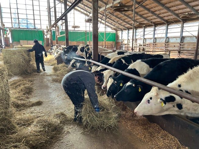 有限会社グリーンサポートのアルバイト・バイト求人情報-03