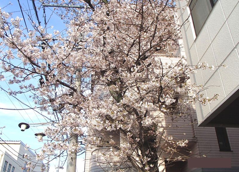 株式会社山葉福祉の求人・転職情報