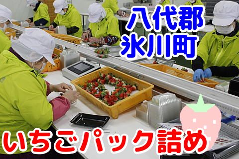 熊本県農業協同組合中央会の派遣求人情報