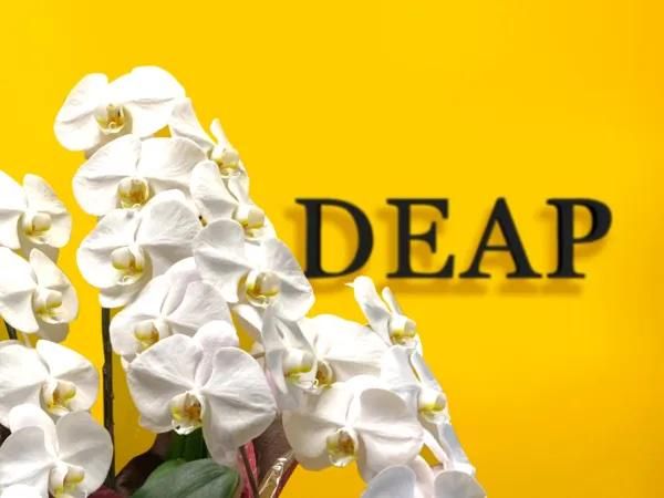 株式会社DEAP-0009の求人・転職情報