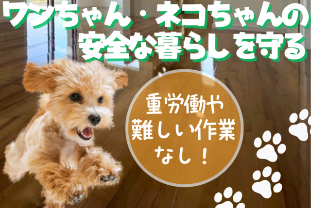 株式会社　COLORの求人・転職情報