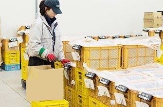 株式会社ダイエックス関西の求人・転職情報