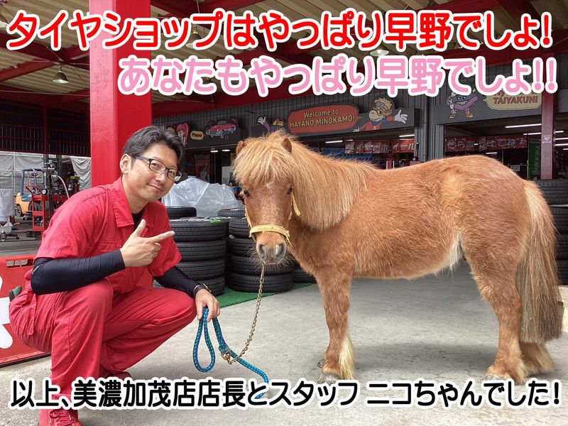 タイヤショップ早野　美濃加茂店(株式会社川嶋)のアルバイト・バイト求人情報-05