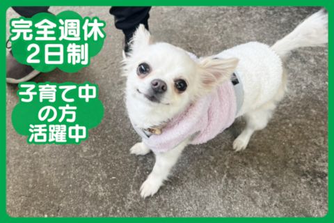 有限会社ミクリノの求人・転職情報