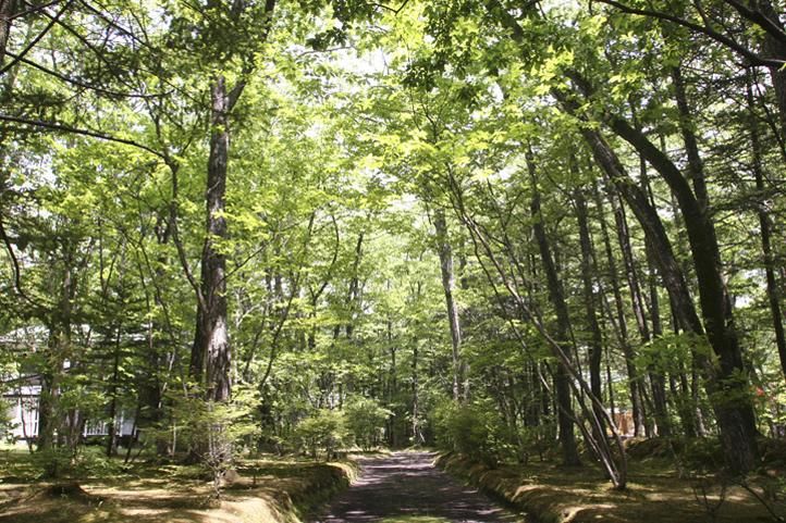 広島県森林組合連合会の求人・転職情報